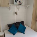 06d05f86-bb79-40b2-a4d2-58c84e2b0a0d